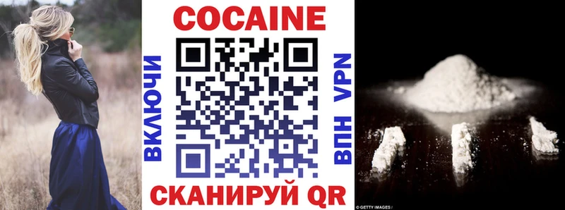 Купить закладки  Белёв  COCAIN Fish Scale 