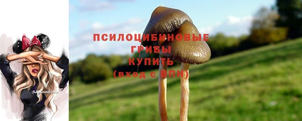 первитин Киренск