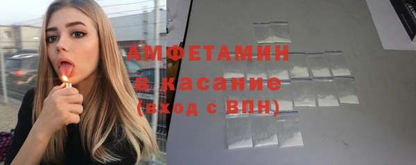 сатива Кинешма