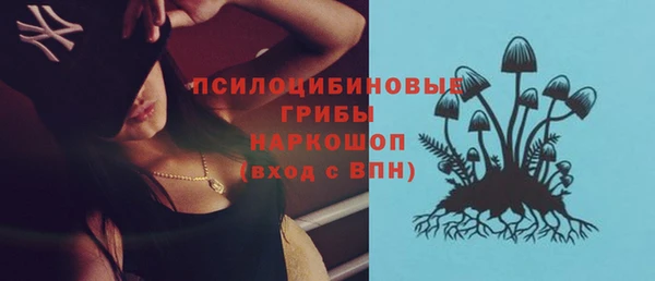 сатива Кинешма