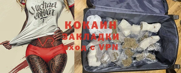 сатива Кинешма
