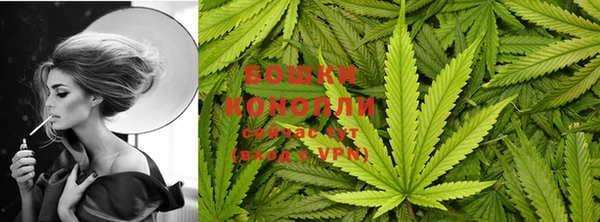 сатива Кинешма
