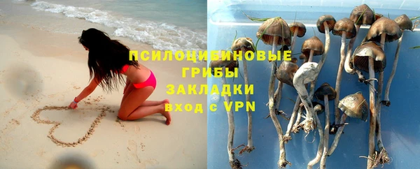 сатива Кинешма