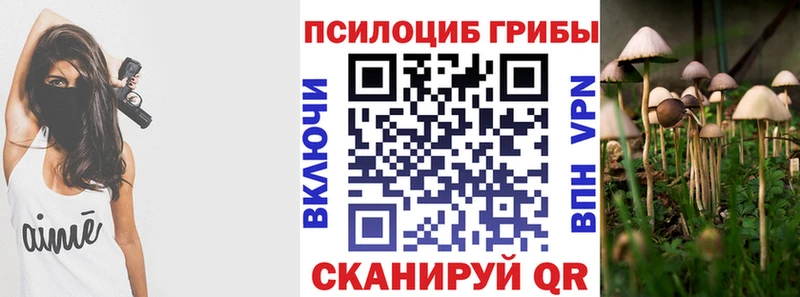 Купить  Белёв  Псилоцибиновые грибы Magic Shrooms 